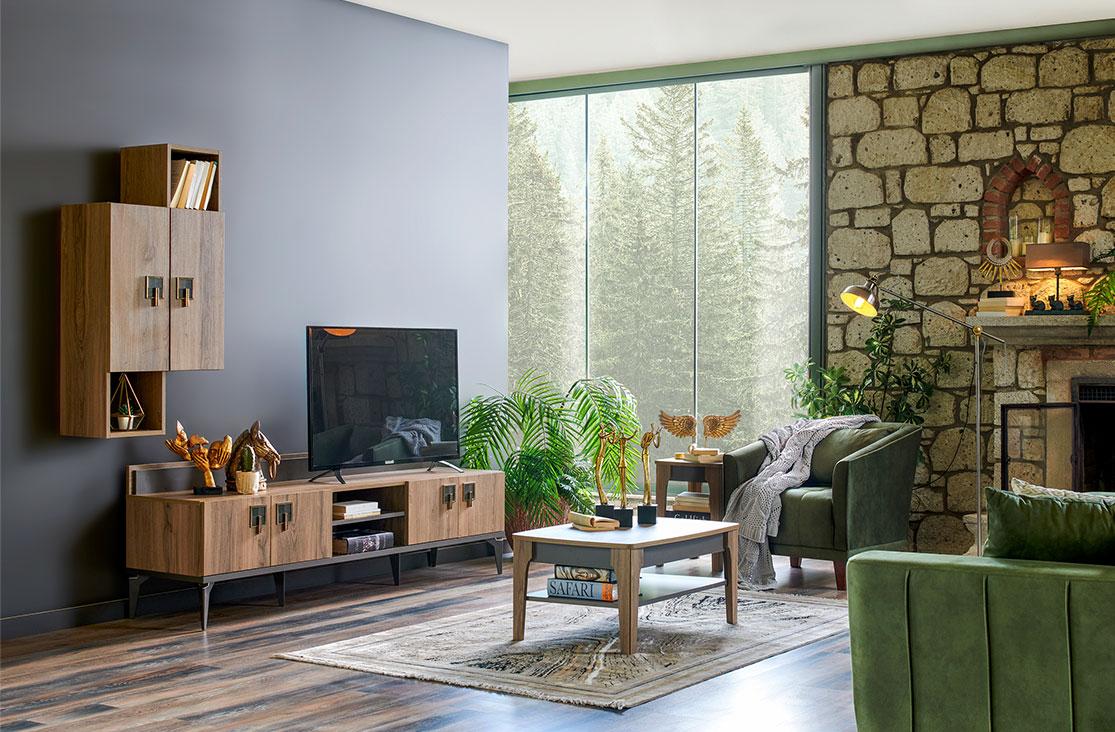 Espanse Tv Unit